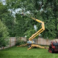 Leaf Removal in Macdonnell Heights, NY